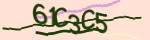 show_captcha